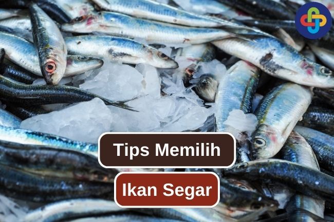 Cara Memilih Ikan Segar Di Pasar